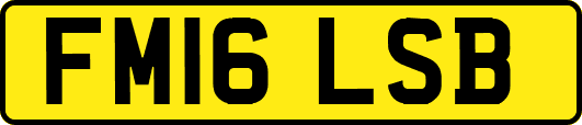 FM16LSB