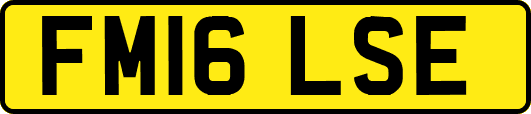 FM16LSE