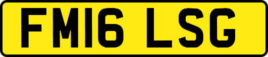 FM16LSG