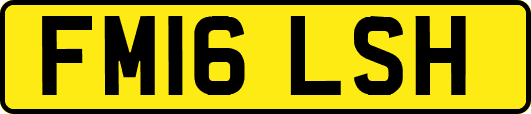 FM16LSH