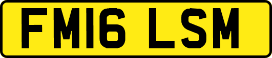 FM16LSM