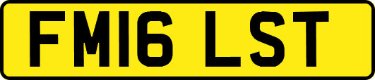 FM16LST