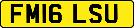 FM16LSU