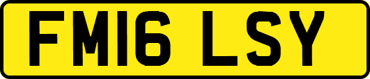 FM16LSY