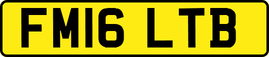 FM16LTB
