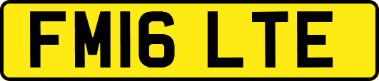 FM16LTE