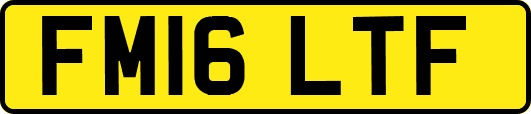 FM16LTF