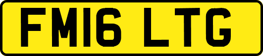 FM16LTG