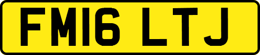 FM16LTJ