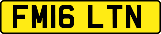 FM16LTN