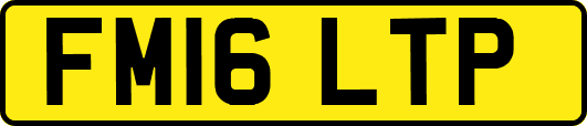 FM16LTP