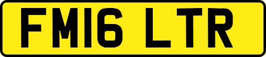FM16LTR