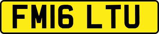 FM16LTU