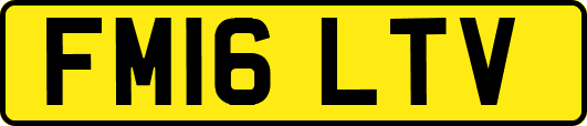 FM16LTV