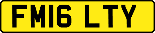 FM16LTY