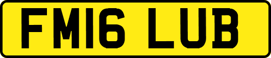 FM16LUB