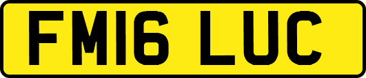 FM16LUC