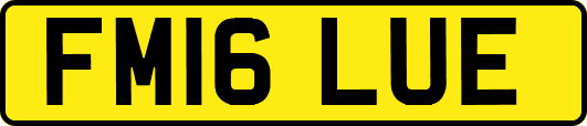 FM16LUE