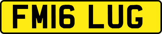 FM16LUG