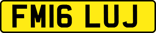FM16LUJ