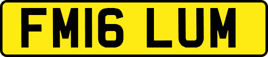 FM16LUM