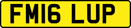 FM16LUP