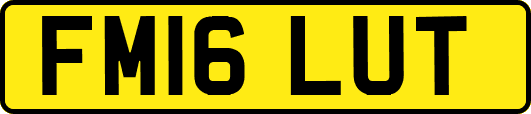 FM16LUT