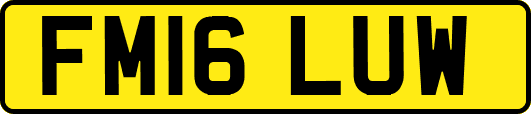FM16LUW