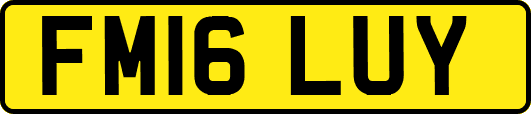 FM16LUY