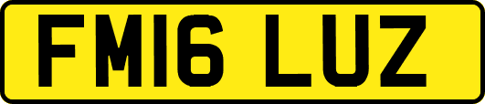 FM16LUZ