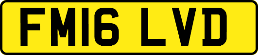 FM16LVD
