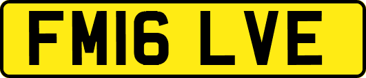 FM16LVE
