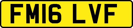 FM16LVF