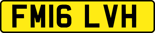 FM16LVH
