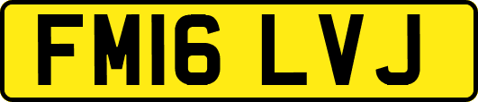 FM16LVJ