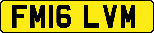 FM16LVM