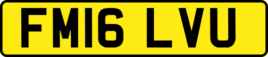 FM16LVU
