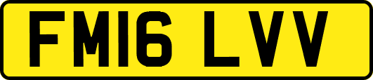 FM16LVV