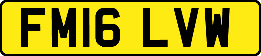 FM16LVW