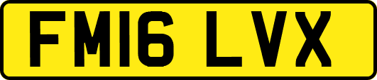 FM16LVX