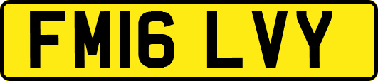 FM16LVY
