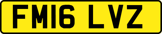 FM16LVZ