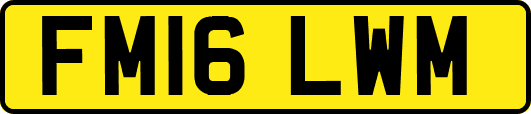 FM16LWM