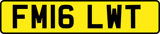 FM16LWT