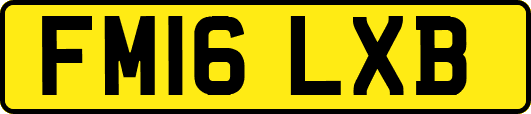 FM16LXB