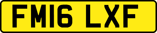 FM16LXF