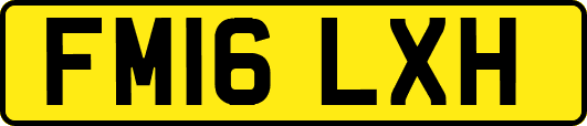 FM16LXH
