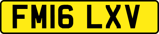 FM16LXV