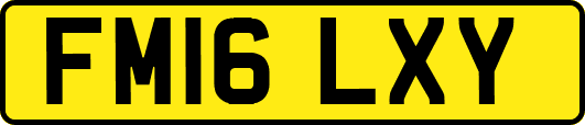 FM16LXY