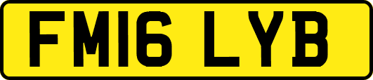 FM16LYB